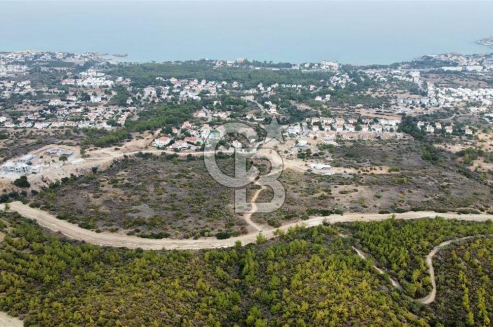 Alsancak ta Villa Yapımına Uygun Arkası Orman Arazisi Satılık 6 Dönümlük Deniz Manzaralı Arazi !!!