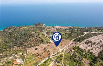 İzmir Karaburun Anbarseki'de Deniz Manzaralı Satılık Arazi