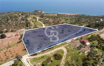 İzmir Karaburun Anbarseki'de Deniz Manzaralı Satılık Arazi