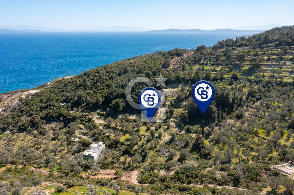 İzmir Karaburun İnecik'de Deniz Manzaralı Satılık Arazi