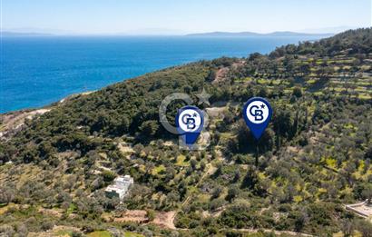 İzmir Karaburun İnecik'de Deniz Manzaralı Satılık Arazi