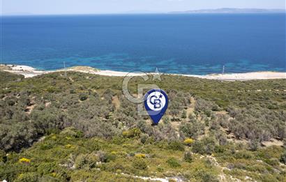 İzmir Karaburun Eğlenhoca'da Mükemmel Deniz Manzaralı Tarla