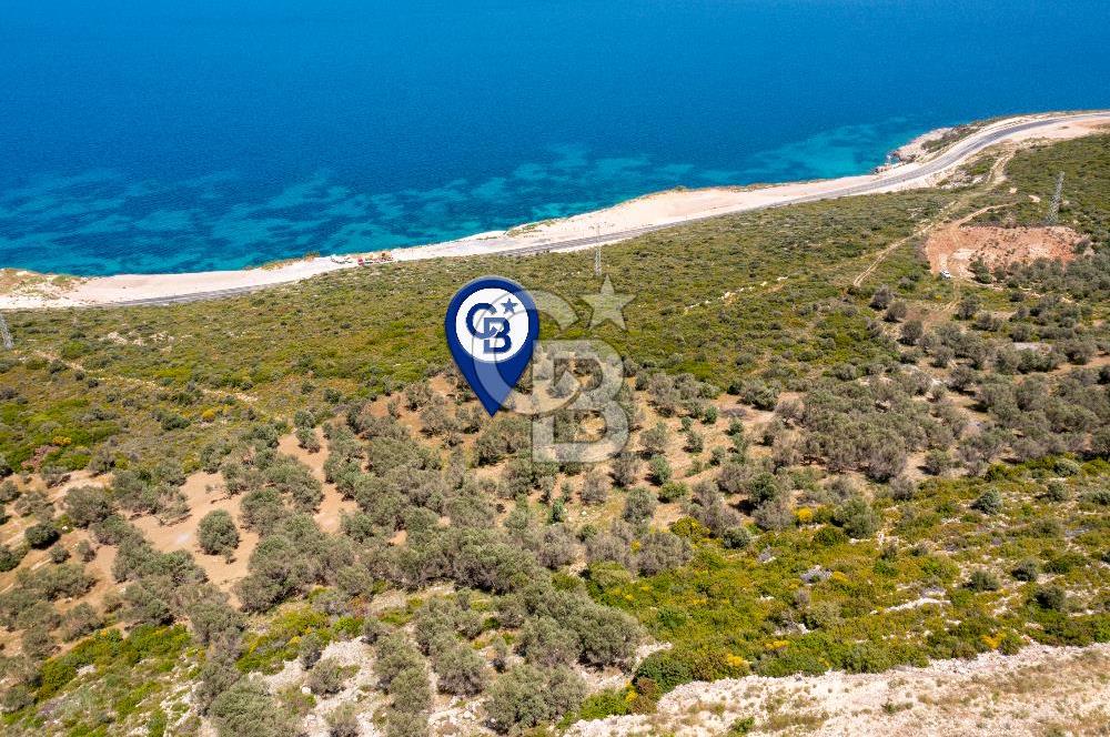 İzmir Karaburun Eğlenhoca'da Deniz Manzaralı Tarla