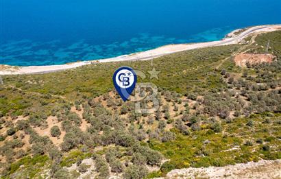 İzmir Karaburun Eğlenhoca'da Deniz Manzaralı Tarla