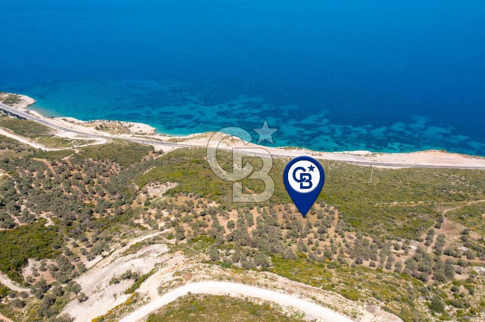 İzmir Karaburun Eğlenhoca'da Deniz Manzaralı Tarla