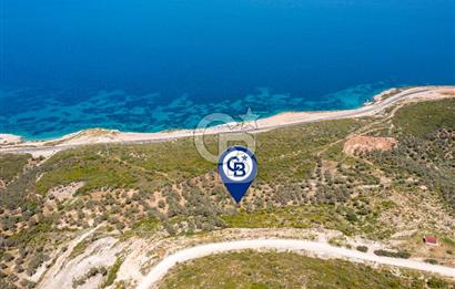 İzmir Karaburun Eğlenhoca'da Mükemmel Deniz Manzaralı Tarla