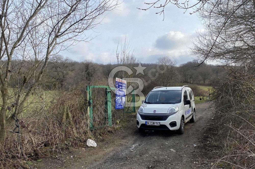 Beykoz Alibahadır Fırsat Yatırım Satılık 8.665 m2 Tarla