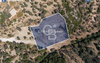 İzmir Karaburun Eğlenhoca'da Yatırımlık Arazi