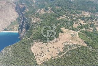 Türkiye'nin Cenneti Kelebekler Vadisinde Satılık Arsa