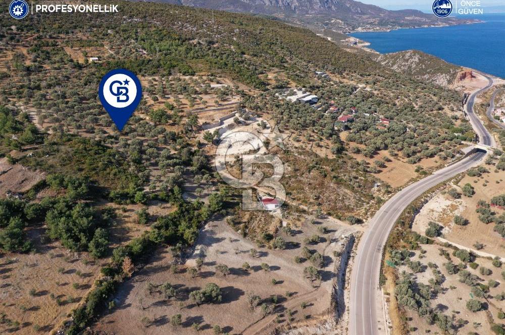 Karaburun Mordoğan'da 15.114 M² Satılık Arazi