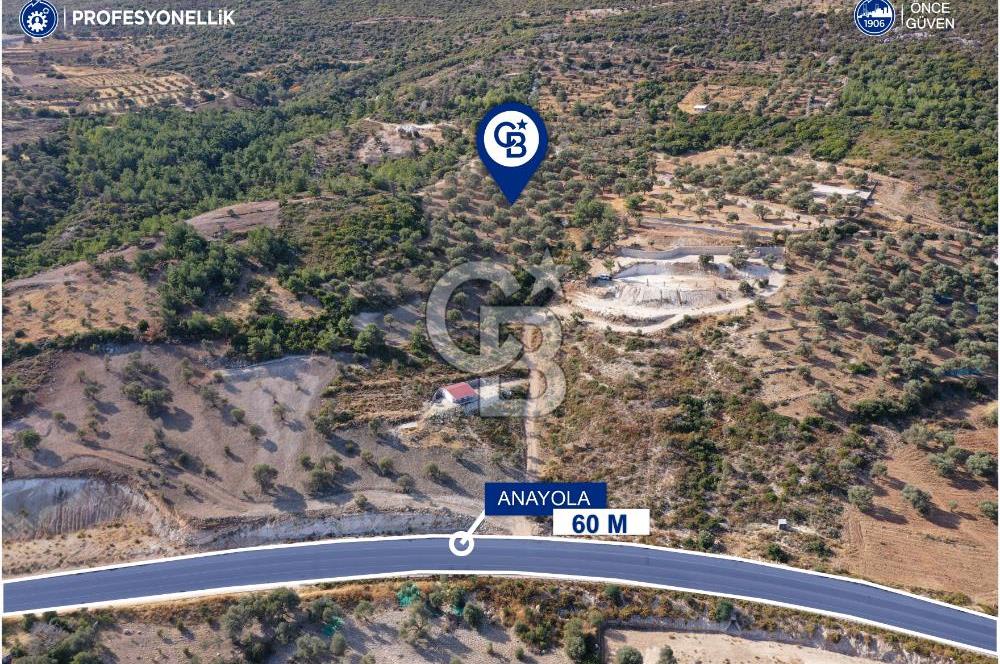 Karaburun Mordoğan'da 15.114 M² Satılık Arazi