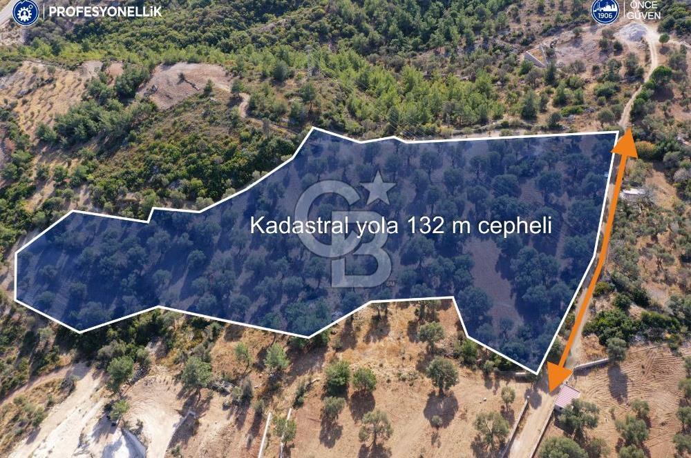 Karaburun Mordoğan'da 15.114 M² Satılık Arazi