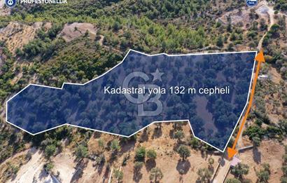 Karaburun Mordoğan'da 15.114 M² Satılık Arazi