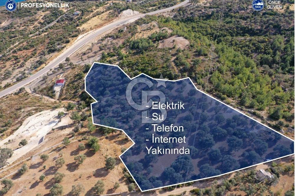 Karaburun Mordoğan'da 15.114 M² Satılık Arazi