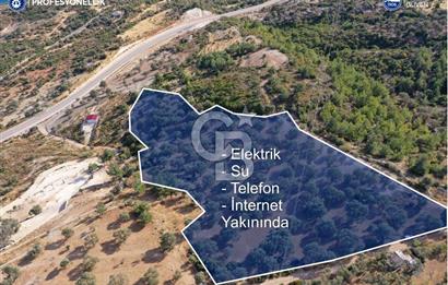 Karaburun Mordoğan'da 15.114 M² Satılık Arazi