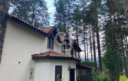 Villa For Sale In Hendek, Sakarya