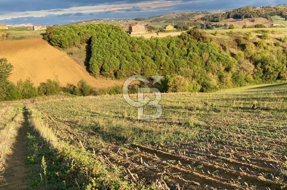 DERİNCE TAHTALI'da KULLANIM ve YATIRIMA UYGUN 5.800m2 ARSA