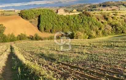 DERİNCE TAHTALI'da KULLANIM ve YATIRIMA UYGUN 5.800m2 ARSA