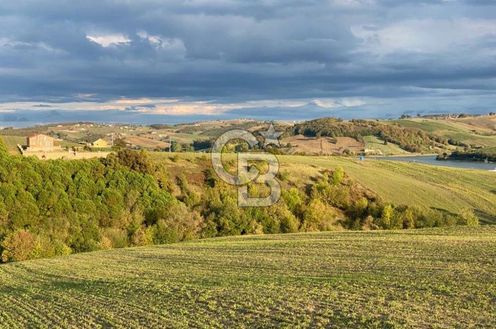 DERİNCE TAHTALI'da KULLANIM ve YATIRIMA UYGUN 5.800m2 ARSA