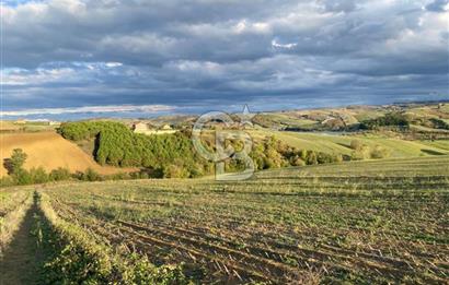 DERİNCE TAHTALI'da KULLANIM ve YATIRIMA UYGUN 5.800m2 ARSA