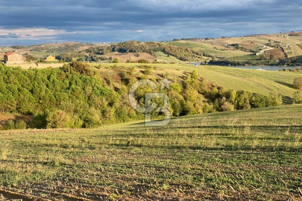 DERİNCE TAHTALI'da KULLANIM ve YATIRIMA UYGUN 5.800m2 ARSA