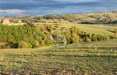 DERİNCE TAHTALI'da KULLANIM ve YATIRIMA UYGUN 5.800m2 ARSA