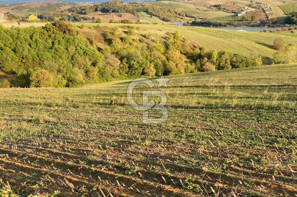 DERİNCE TAHTALI'da KULLANIM ve YATIRIMA UYGUN 5.800m2 ARSA