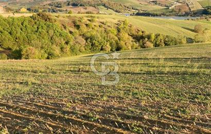 DERİNCE TAHTALI'da KULLANIM ve YATIRIMA UYGUN 5.800m2 ARSA