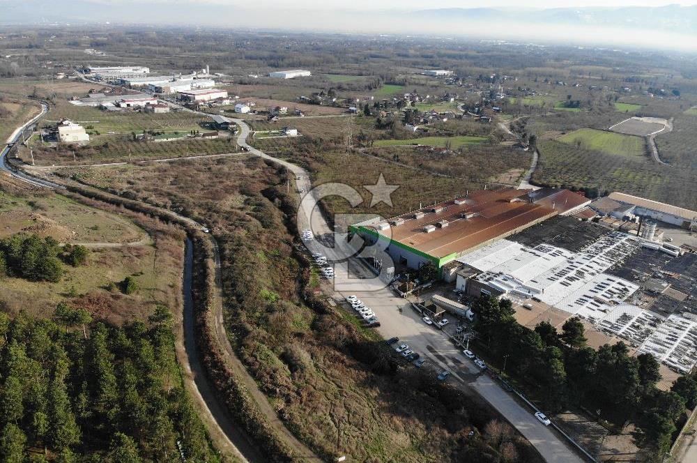 DÜZCE ÇİLİMLİ YOL CEPHELİ 7000 M2 KİRALIK FABRİKA