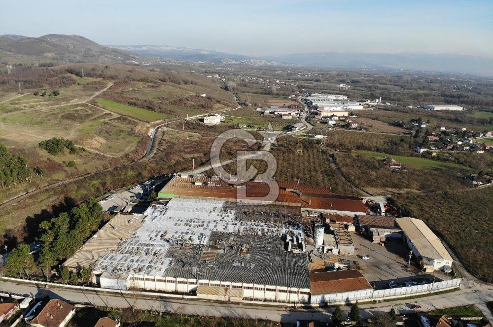 DÜZCE ÇİLİMLİ YOL CEPHELİ 7000 M2 KİRALIK FABRİKA