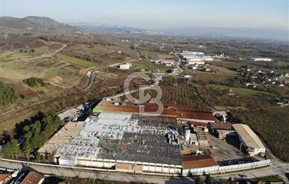 DÜZCE ÇİLİMLİ YOL CEPHELİ 7000 M2 KİRALIK FABRİKA