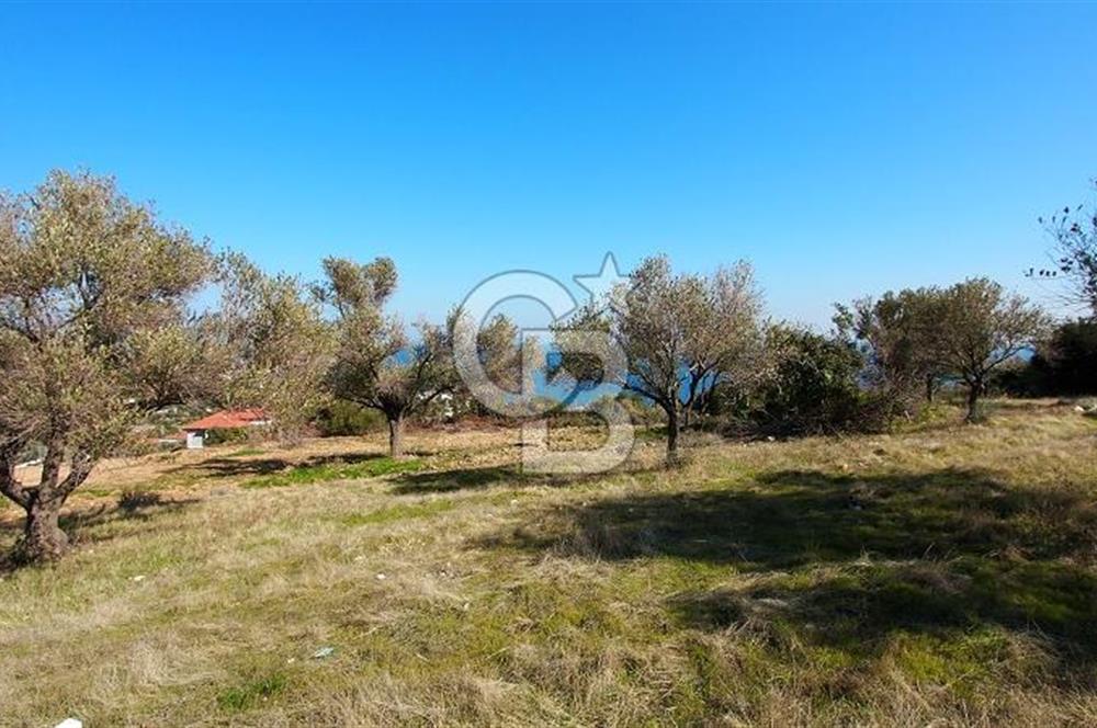 Karaburun İnecik Kaynarpınar'da Muhteşem Deniz Manzaralı Arsa