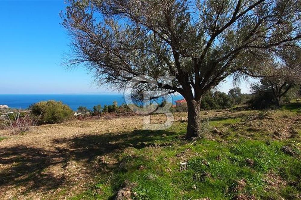 Karaburun İnecik Kaynarpınar'da Muhteşem Deniz Manzaralı Arsa