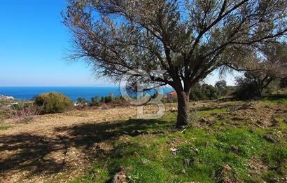 Karaburun İnecik Kaynarpınar'da Muhteşem Deniz Manzaralı Arsa