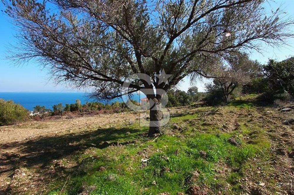 Karaburun İnecik Kaynarpınar'da Muhteşem Deniz Manzaralı Arsa