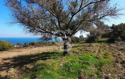 Karaburun İnecik Kaynarpınar'da Muhteşem Deniz Manzaralı Arsa