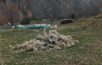 Antalya Kaş Sütleğen Köyü'nde 3,155 M² Satılık Arazi