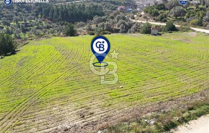 İzmir Karaburun Eğlenhoca'da Resmi Yola Cepheli Satılık Tarla