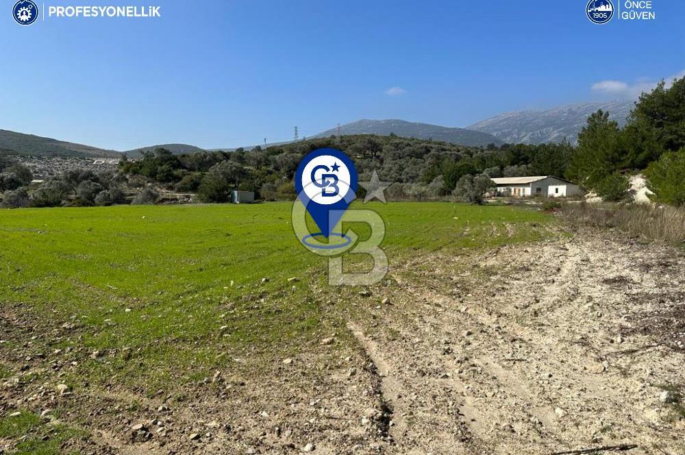 İzmir Karaburun Eğlenhoca'da Resmi Yola Cepheli Satılık Tarla