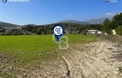 İzmir Karaburun Eğlenhoca'da Resmi Yola Cepheli Satılık Tarla