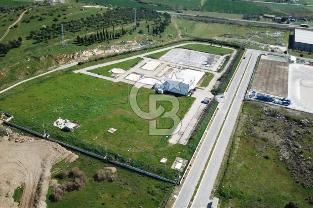 İzmir Tire Organize Sanayi Bölgesi Satılık 41.770m² Sanayi İmarlı Arsa