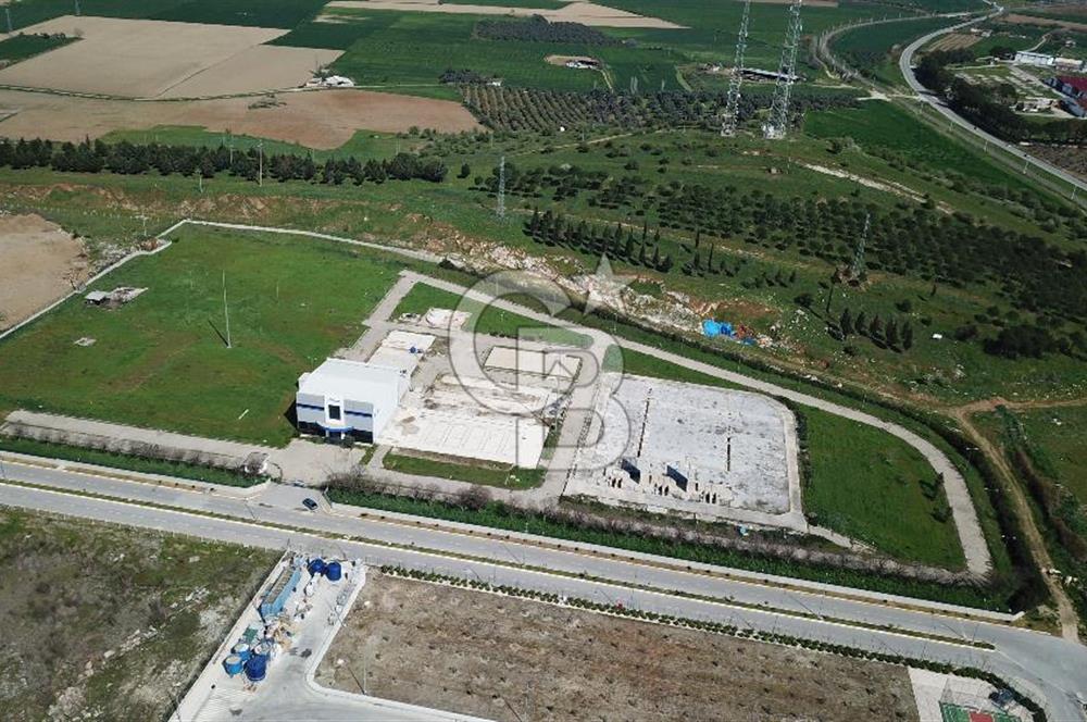 İzmir Tire Organize Sanayi Bölgesi Satılık 41.770m² Sanayi İmarlı Arsa