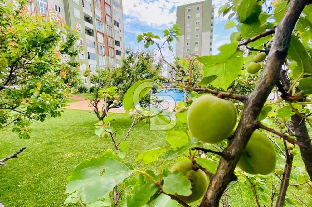 Ispartakule Apricot Garden Satılık 2+1 Daire