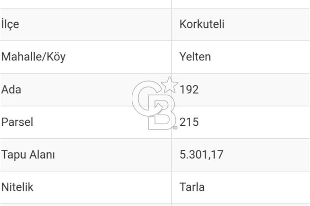 COLDWELL BANKER'DAN YELTEN'DE 5301 M2 SATILIK TARLA