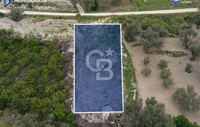 İzmir Karaburun Eğlenhoca'da Satılık Tarla