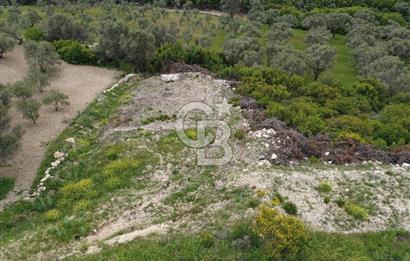 İzmir Karaburun Eğlenhoca'da Satılık Tarla