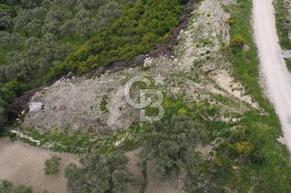 İzmir Karaburun Eğlenhoca'da Satılık Tarla