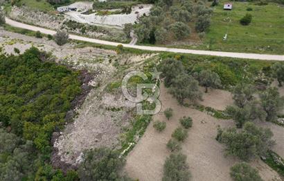 İzmir Karaburun Eğlenhoca'da Satılık Tarla