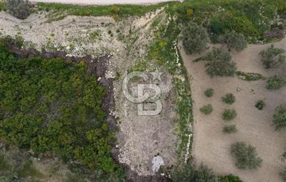 İzmir Karaburun Eğlenhoca'da Satılık Tarla