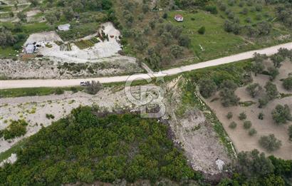 İzmir Karaburun Eğlenhoca'da Satılık Tarla